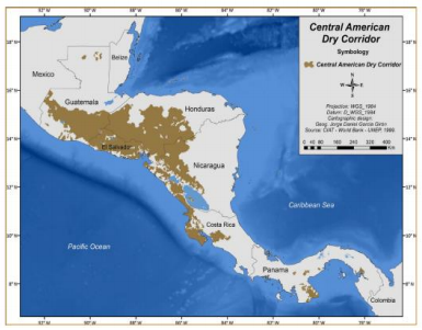[전문가오피니언] 카라반(Caravan)과 기후 강제이주의 온두라스