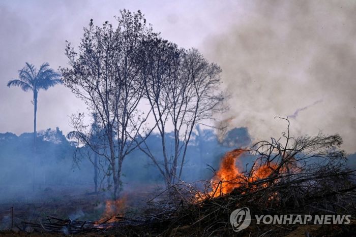 브라질 룰라 "당선되면 인도네시아·콩고와 열대우림 연합전선"