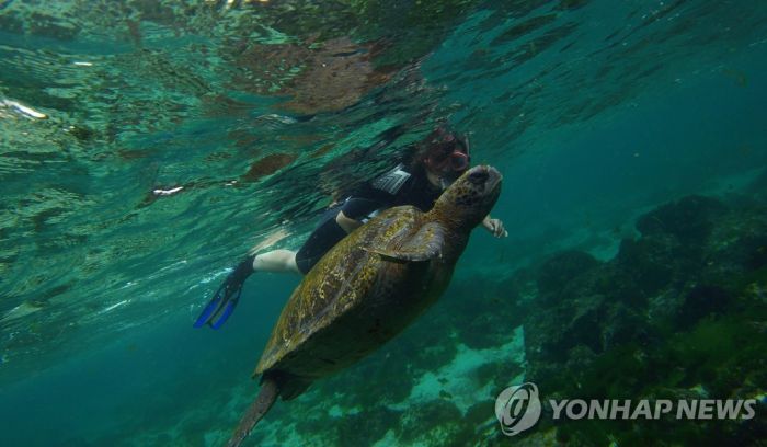 中 어선단에 위협받는 갈라파고스…에콰도르 "보호구역 확대"