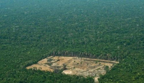아마존 열대우림 파괴 증가 또 경고…보우소나루 정부 압박