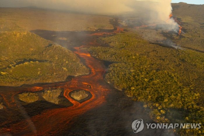 갈라파고스 울프화산 분화…멸종위기 분홍 이구아나 괜찮을까