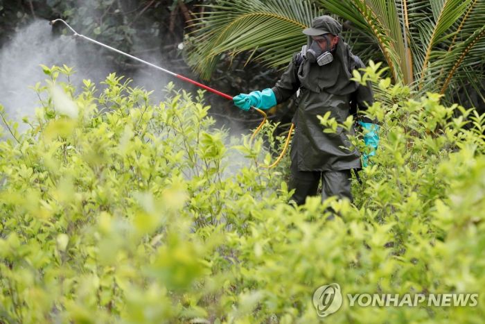 콜롬비아 무장조직 핏빛 영역다툼 계속…주말새 11명 사망