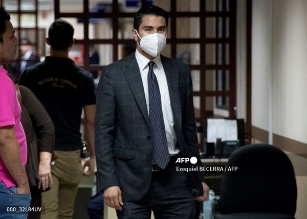 코스타리카, 고양이 건물서 던져 죽인 30대男 '금고 2년'