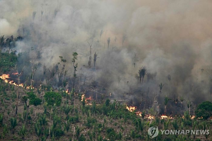 작년 브라질 화재 피해, 남한 면적의 3배 규모…전년보다 79% ↑
