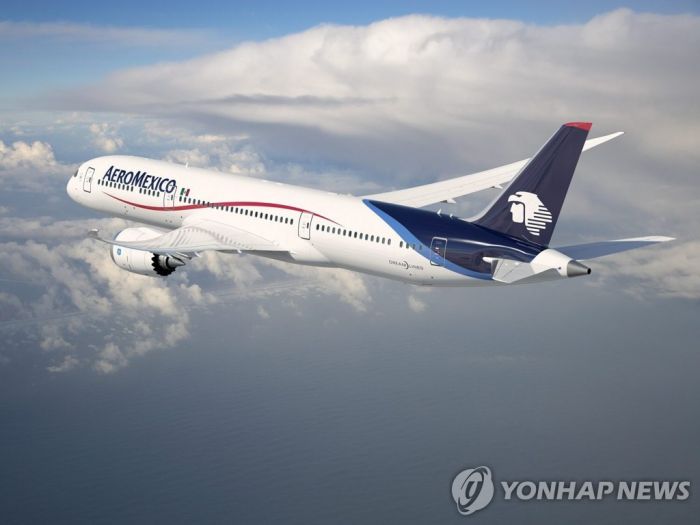 "나 못탔어" 항공기 회항시켜 물러난 멕시코 장관 후임 임명