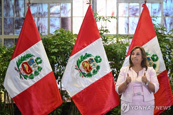 페루 헌재, '명품수뢰·시위대학살 혐의' 페루 대통령 수사 제동