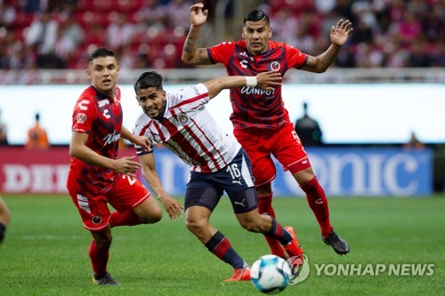 31경기 무승에 화난 멕시코 축구 팬, 구단 회장 SNS 해킹