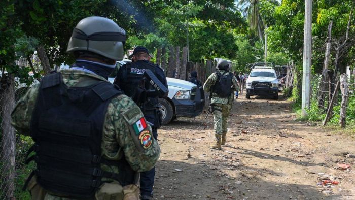Mexico police shot dead in ambush in Guerrero stat…