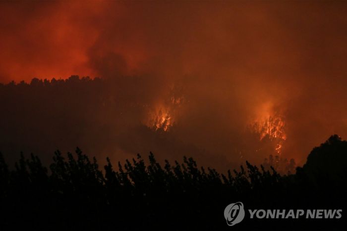 칠레 대규모 산불로 서울 면적 3분의2 탔다…최소 23명 사망