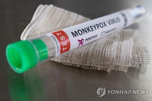 브라질 원숭이두창 확진 3명으로 늘어…보건부 "대응조치 강화"