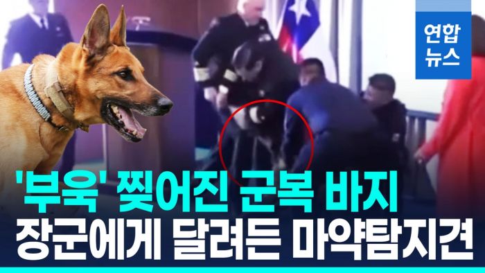 [영상] 주머니서 냄새? 해군 장성 바지 물어뜯은 칠레 마약탐지견