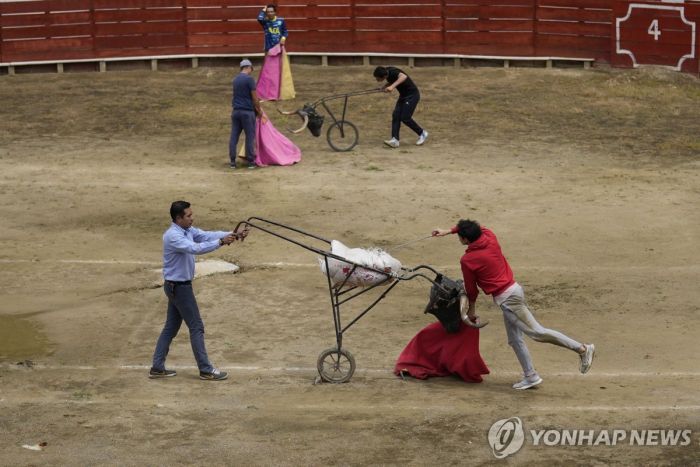 "올레? 더는 없다"…콜롬비아 투우 금지법 공포