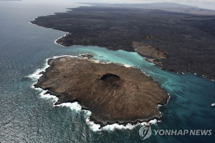 "싹쓸이 조업 막자"…중남미 4개국 동태평양 보호구역 확대