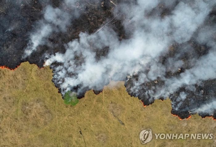 "열대우림 파괴말라"…네슬레·H&M 등, 브라질 원자재 거래중단