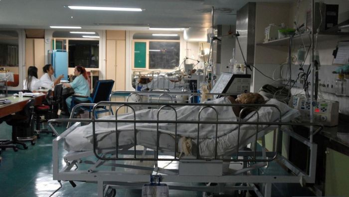 브라질 젊은층 코로나 중증환자 급증, 절반 넘어…변이 때문인듯