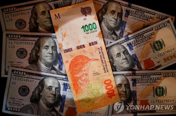 아르헨티나 20년 만에 금리 최대폭 10%P 인상…81→91%로