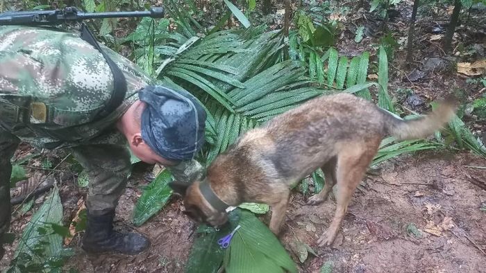 Colombia plane crash: Children reportedly survived…