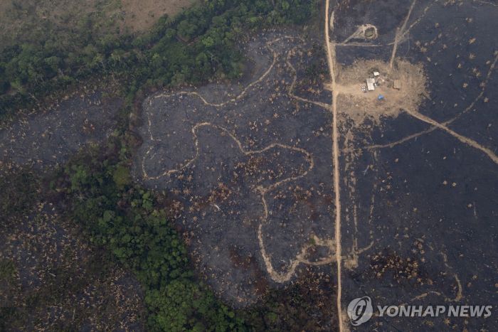 불타오른 '지구 허파'…작년 브라질 아마존 화재 17년만에 최대