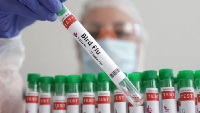 Man in Mexico dies with first human case of H5N2 b…