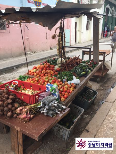 Barrio_Centro_Habana_2017_foto_Gerardo_Gomez_Michel_(1).jpg