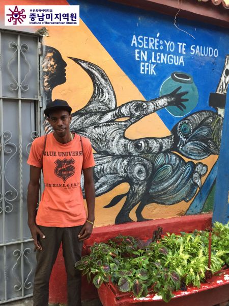 Callejon de Hamel La Habana