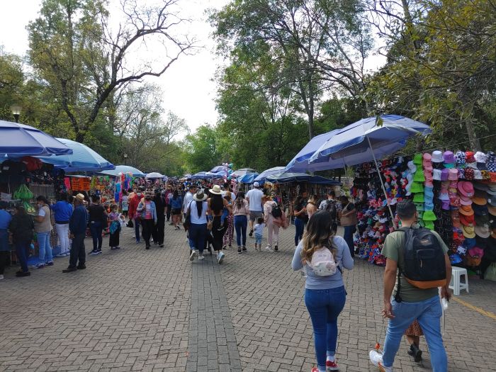 Bosque de Chapultepec-Mexico City