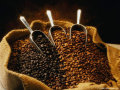 중남미 커피생산의 전환점