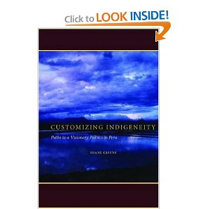 Customizing indigeneity : paths to a visionary politics in Peru
