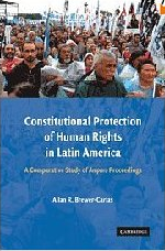 Constitutional protection of human rights in Latin America : a comparative study of amparo proceedings