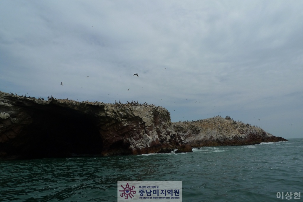 [페루] Islas Ballestas -1