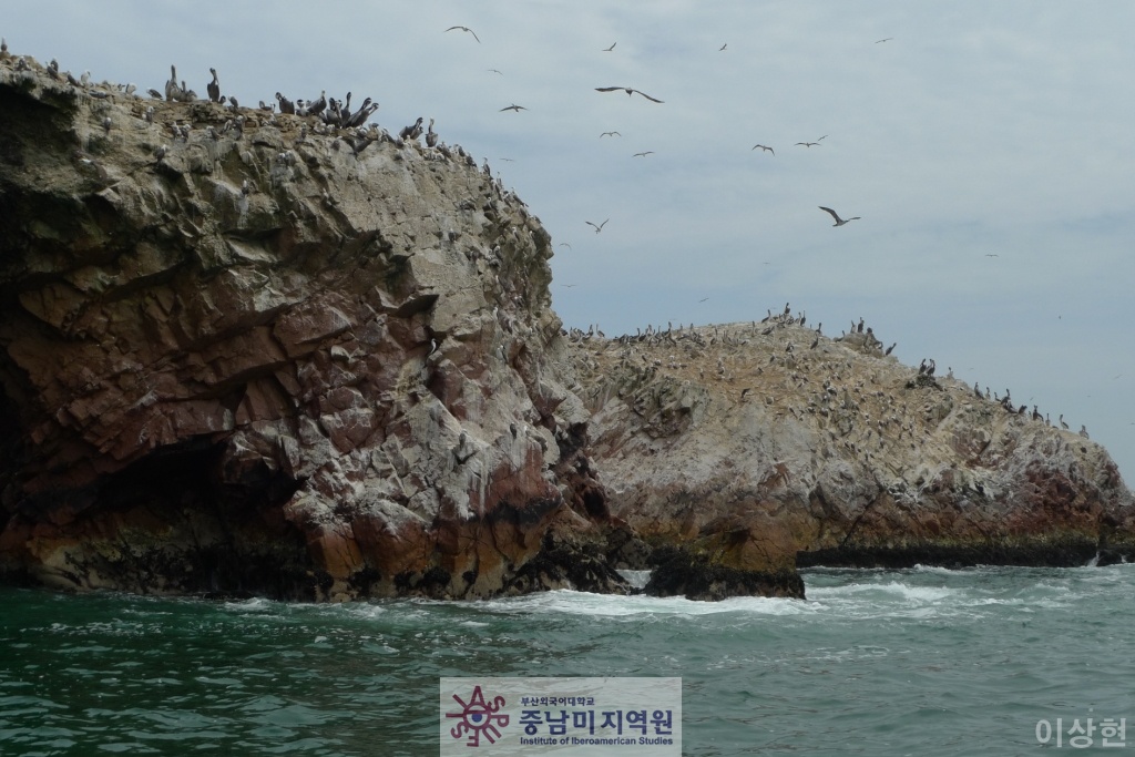 [페루] Islas Ballestas -1