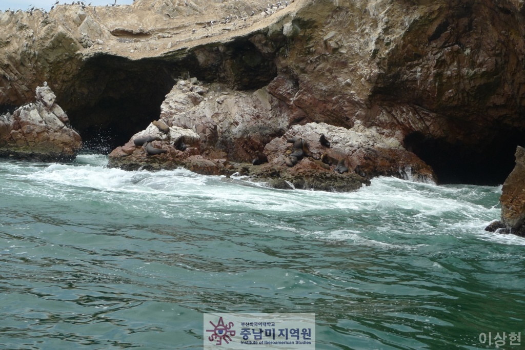 [페루] Islas Ballestas -1