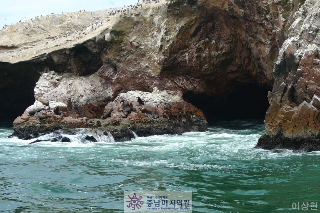 [페루] Islas Ballestas -1