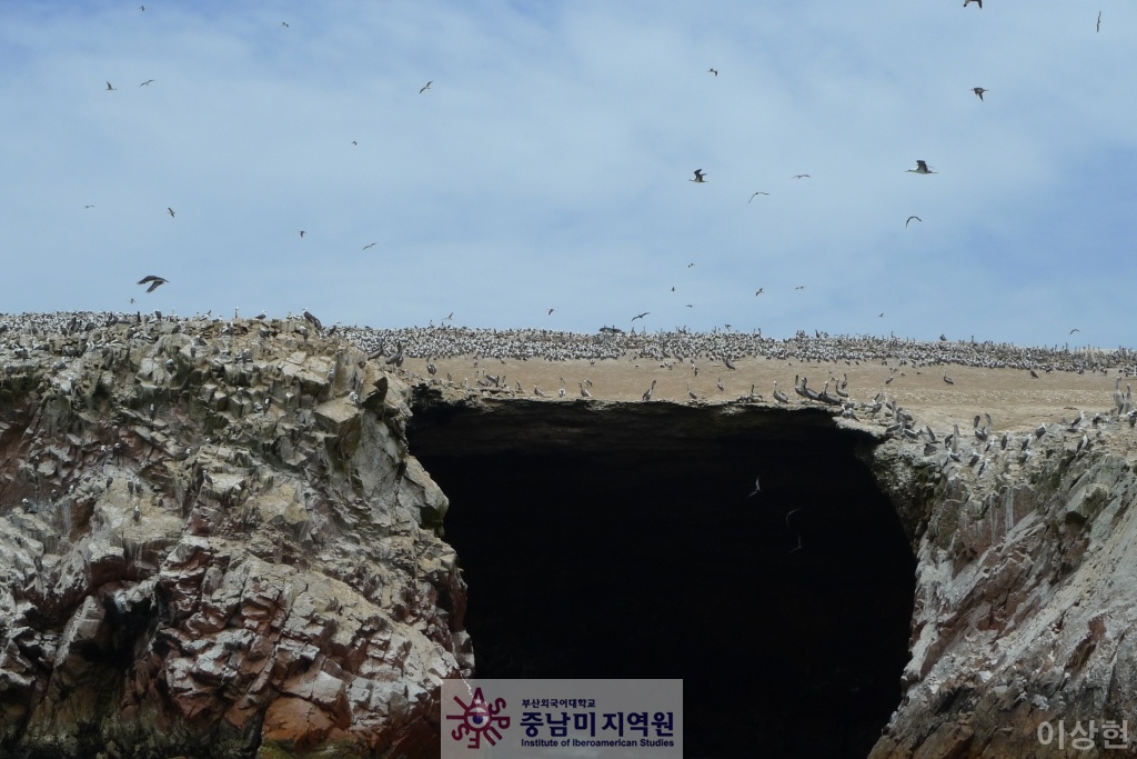 [페루] Islas Ballestas -1