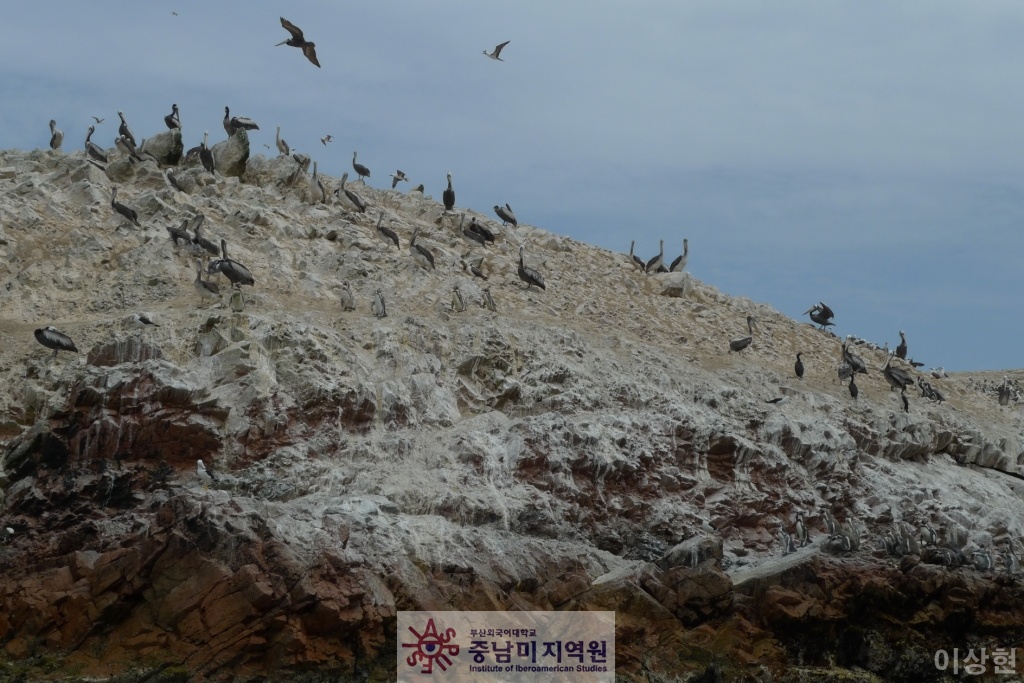 [페루] Islas Ballestas -1