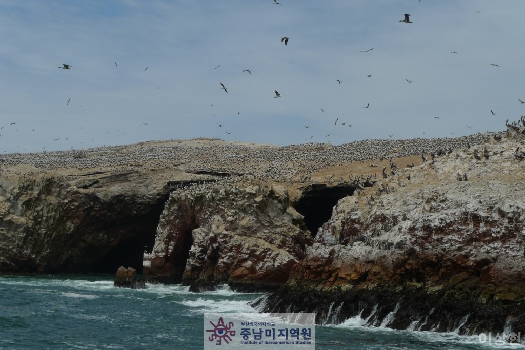 [페루] Islas Ballestas -1