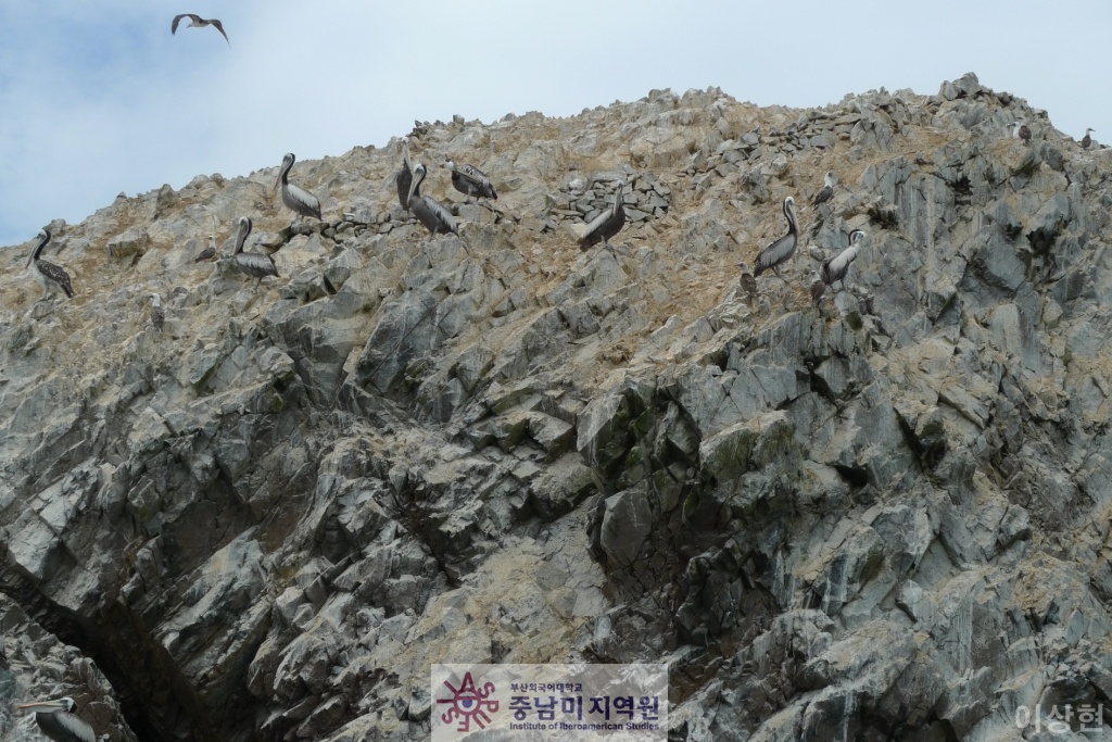 [페루] Islas Ballestas -1