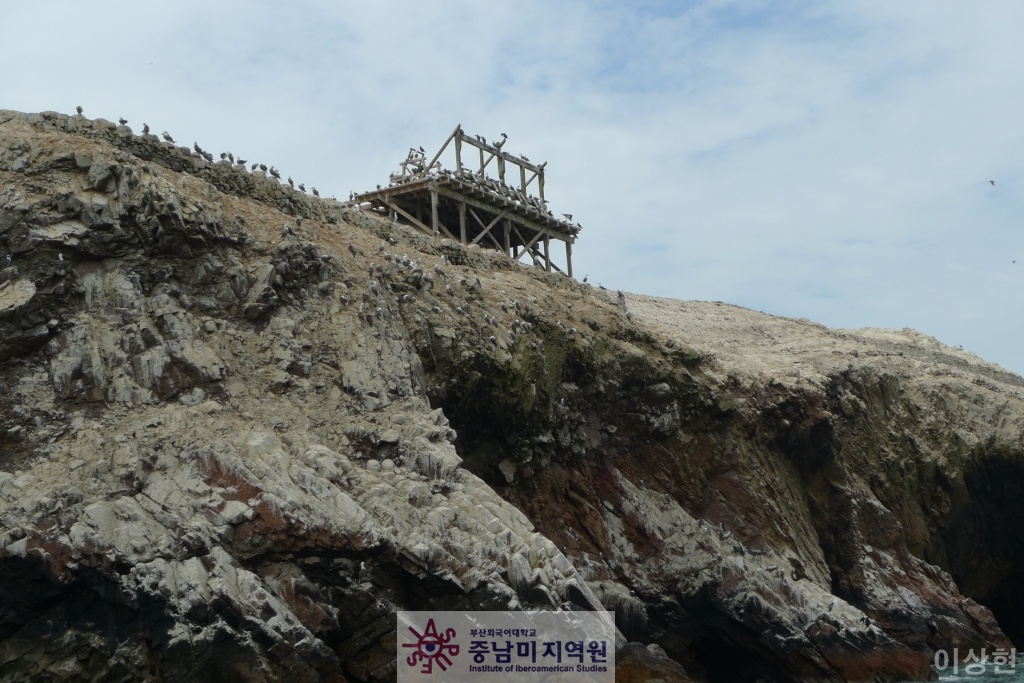 [페루] Islas Ballestas -1