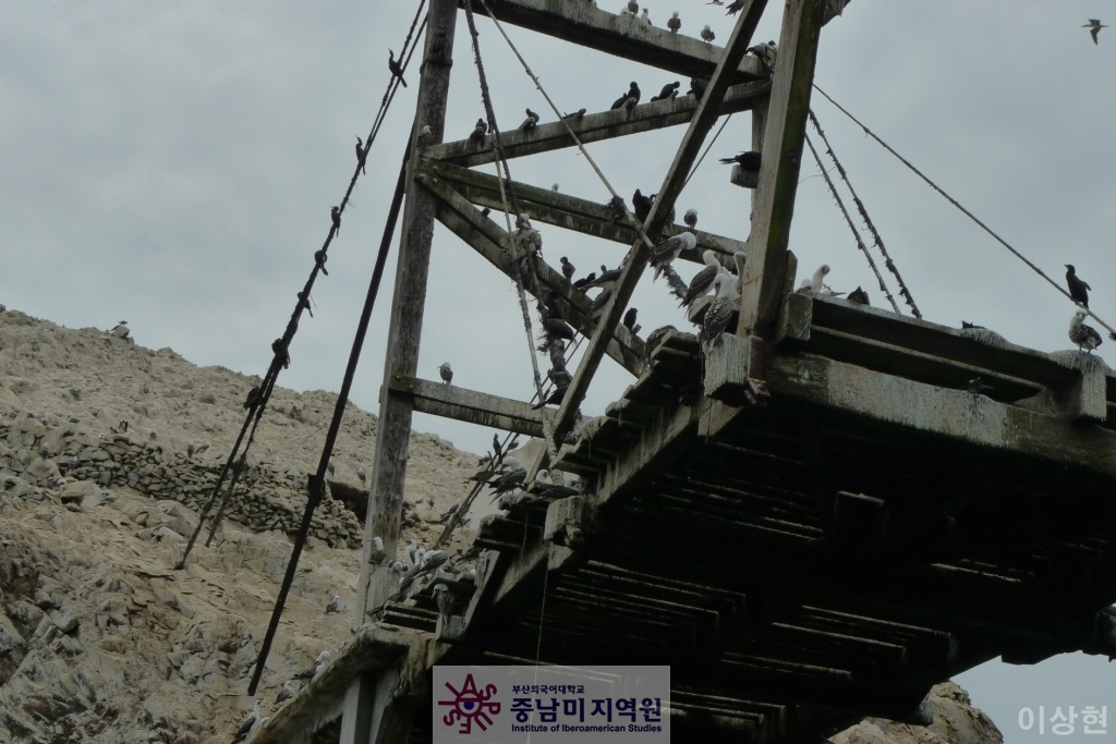 [페루] Islas Ballestas -2