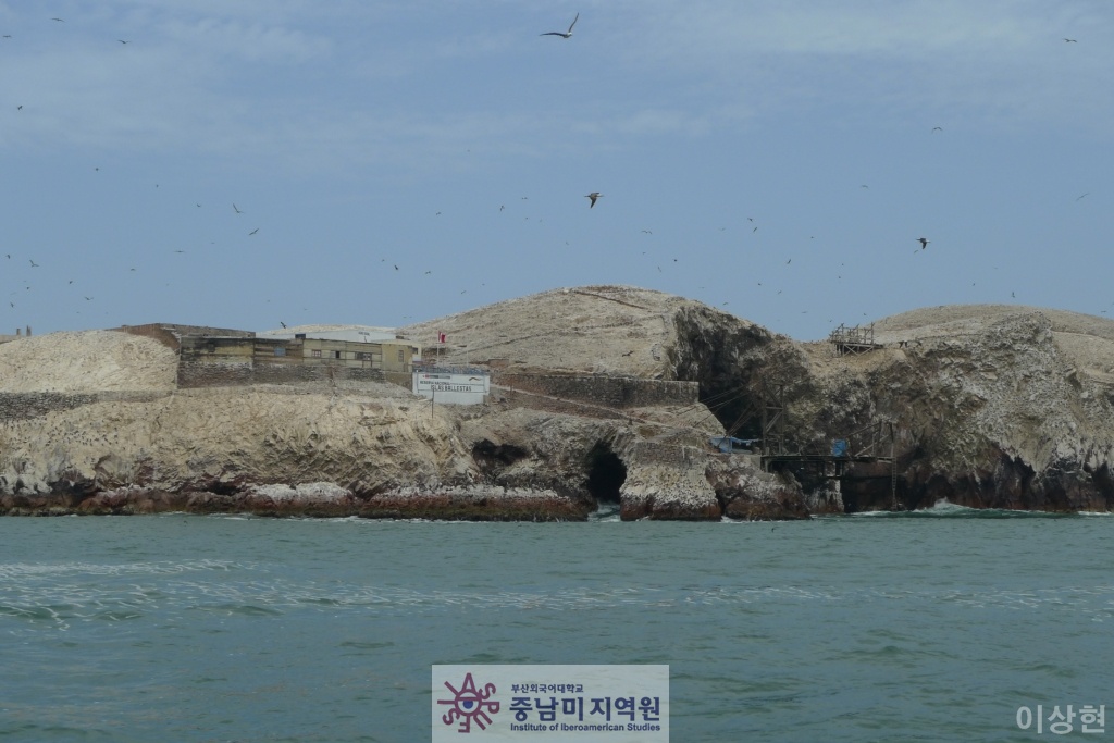 [페루] Islas Ballestas -2