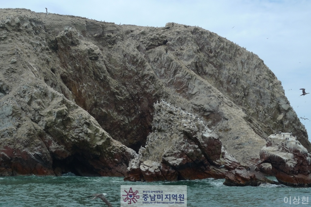 [페루] Islas Ballestas -2