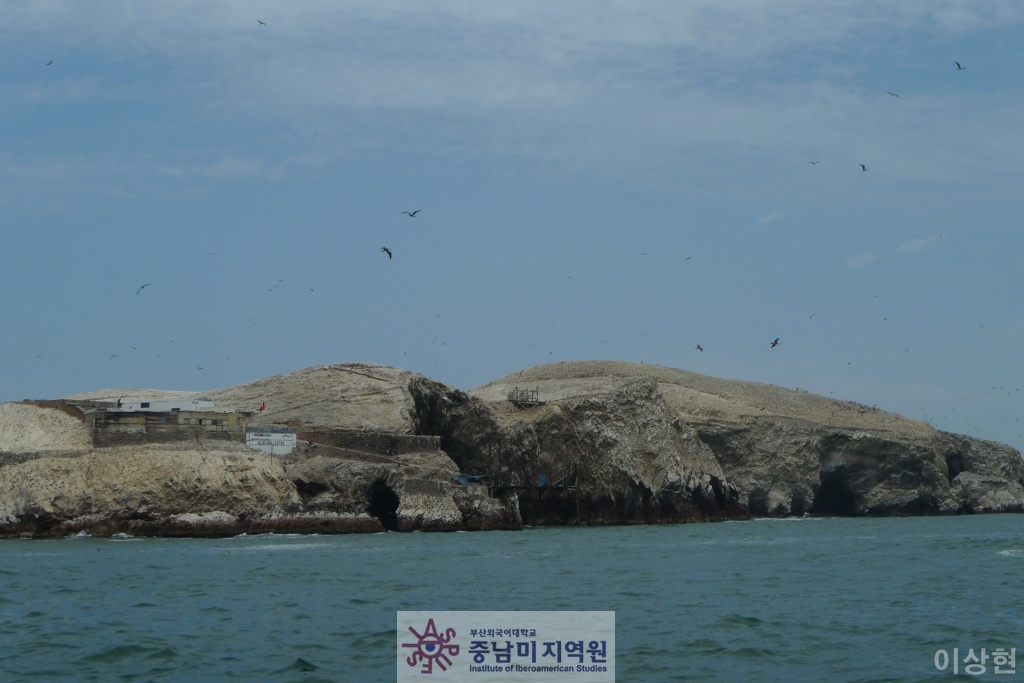 [페루] Islas Ballestas -2