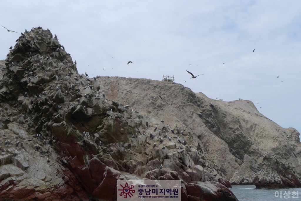 [페루] Islas Ballestas -2