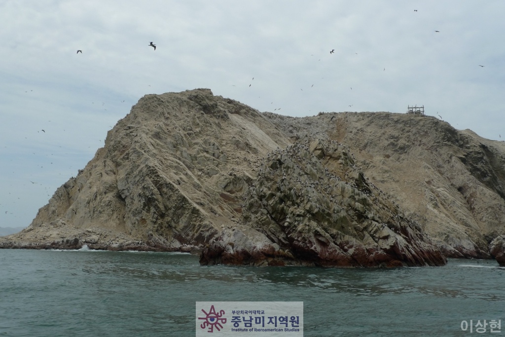 [페루] Islas Ballestas -2