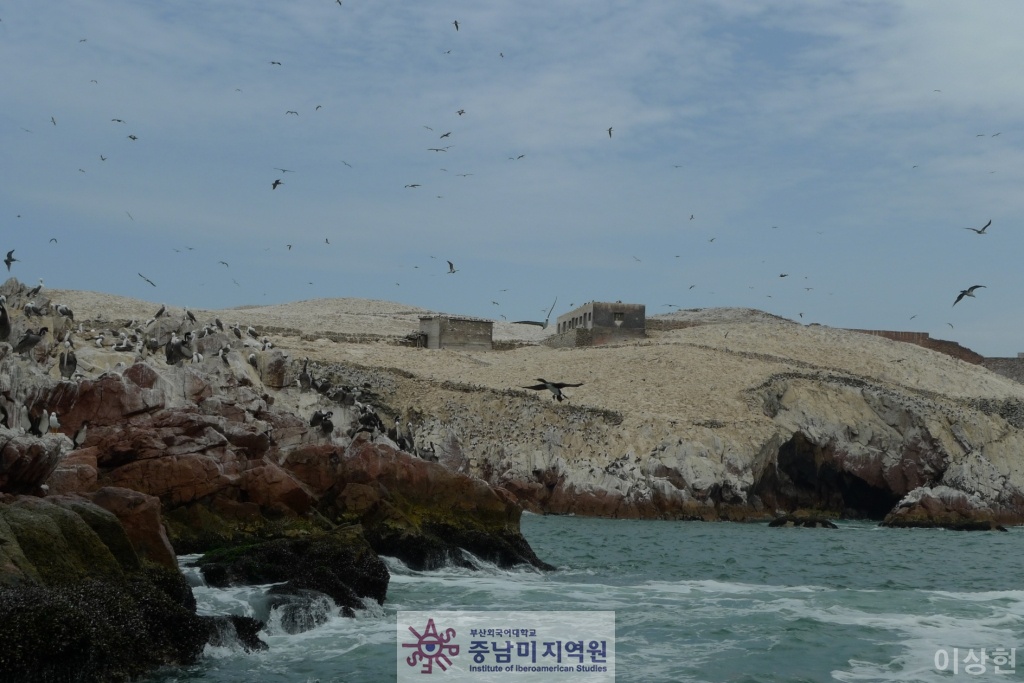 [페루] Islas Ballestas -2