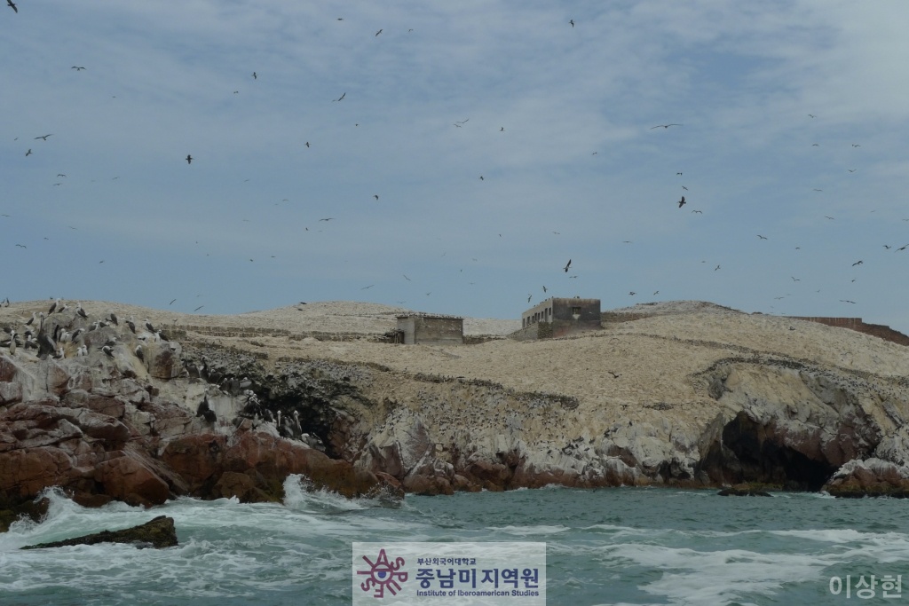 [페루] Islas Ballestas -2