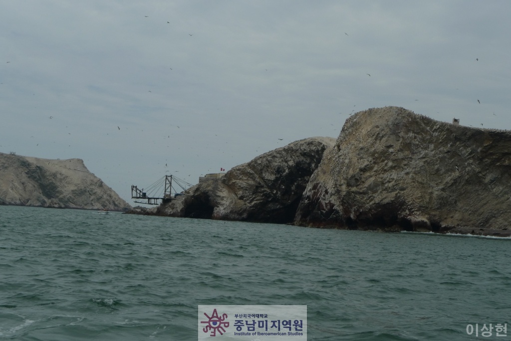 [페루] Islas Ballestas -2