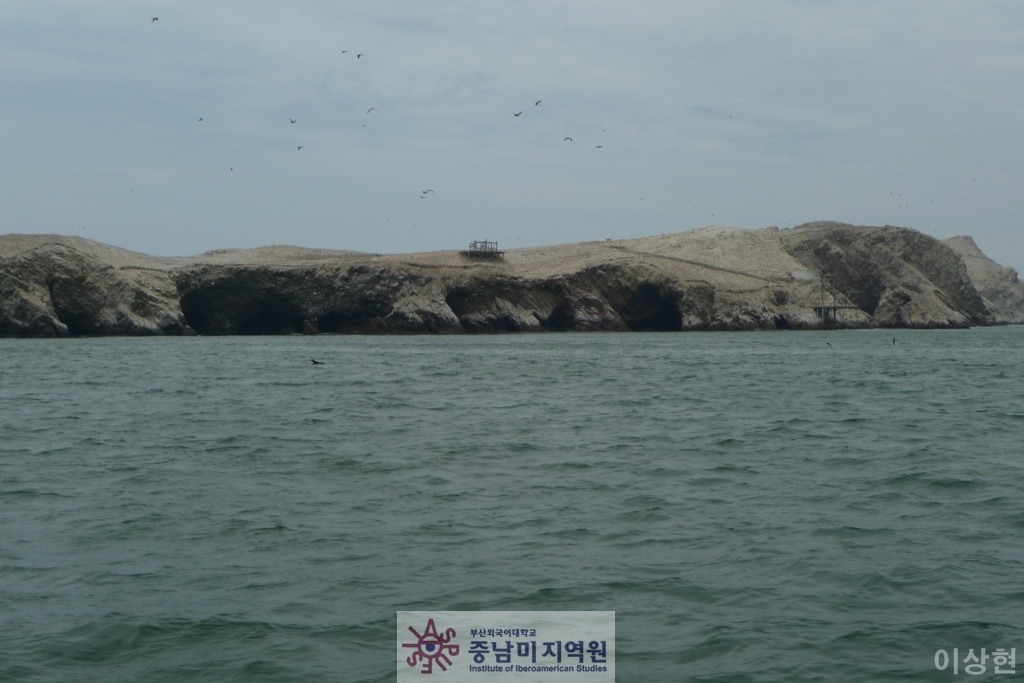 [페루] Islas Ballestas -2