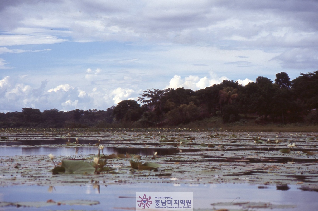 ● 메소아메리카 문명-중부 고전기