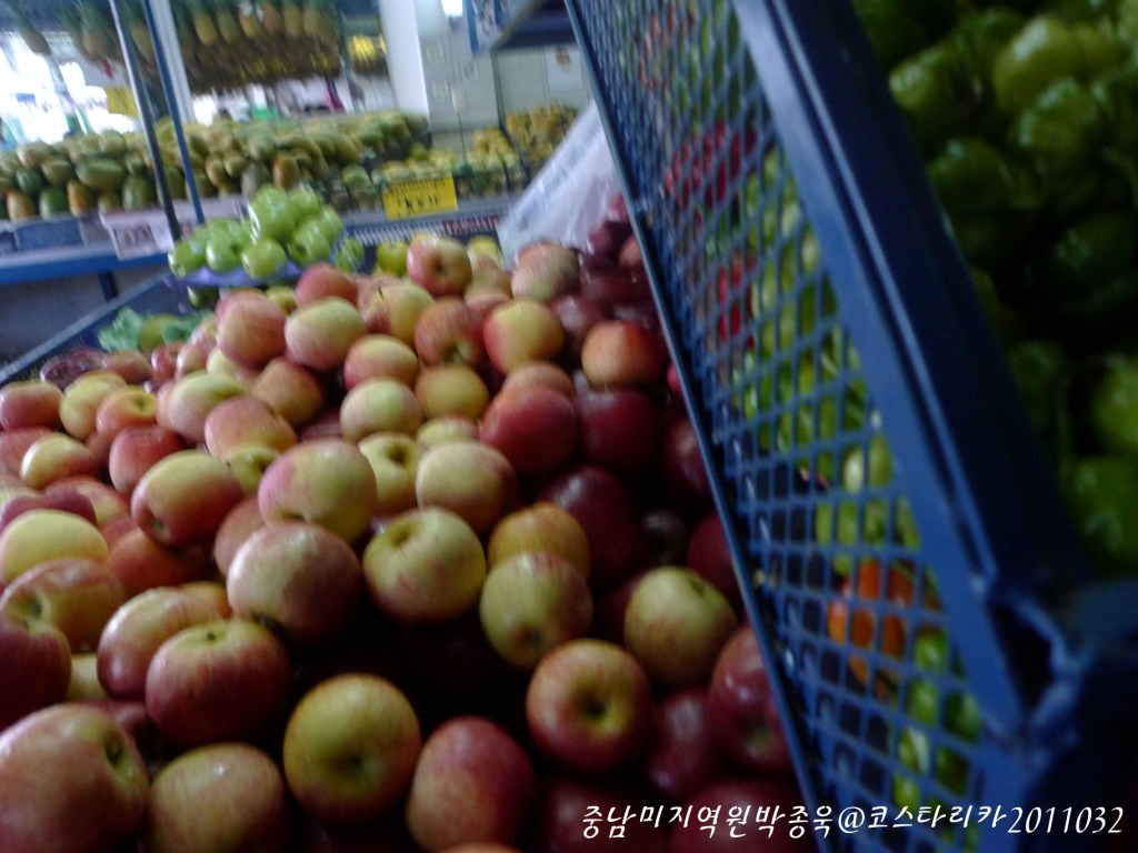 [코스타리카] 재래시장